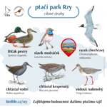 Ornitologové připravují šestý ptačí park – Rzy ve východních Čechách