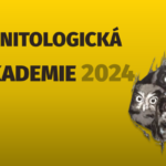 Výzva pro mladé ornitology: Přihlaste se do Ornitologické akademie