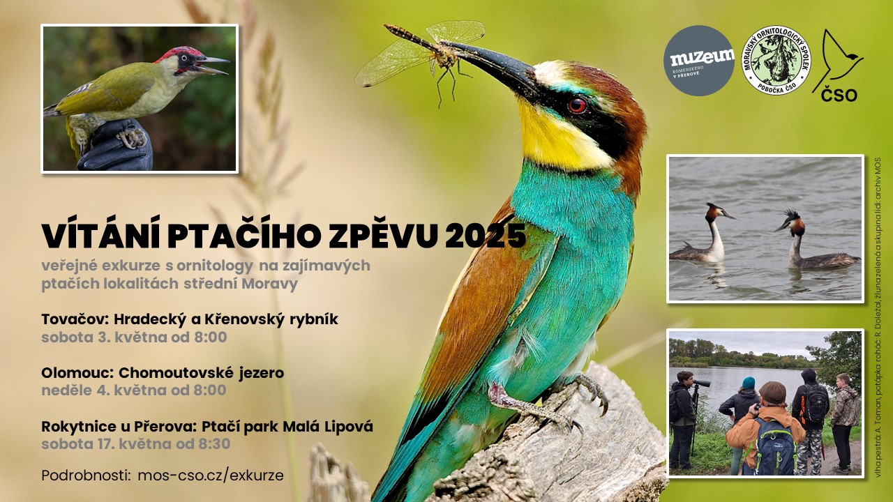 Vítání ptačího zpěvu na střední Moravě: v květnu s námi můžete vyrazit do přírody za ptáky hned třikrát