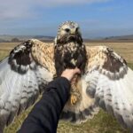 Ohlédnutí za rokem 2025 Moravského ornitologického spolku