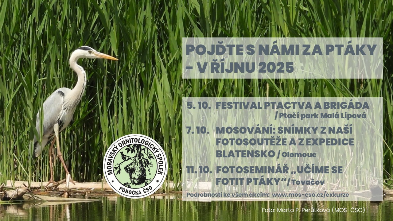 Pro ptáky, o ptácích a s ptáky: říjen s Moravským ornitologickým spolkem