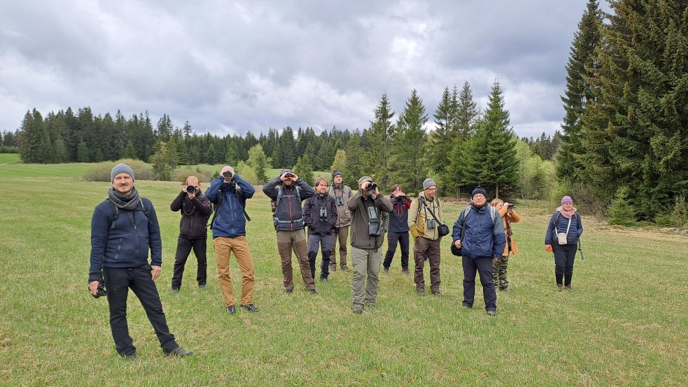 Expedice Šumava: pět dní s ptáky na slatích, horských loukách i v lesích jihozápadního cípu Čech