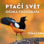 Když se věda potká s estetikou terénního pozorování: Nad knihou Tomáše Grima Ptačí svět očima fotografa